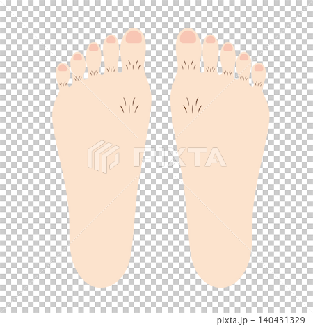 一張有很多腳趾毛的腳的插圖 140431329