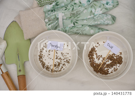 Parsley and dill seeds are sorted in labeled bowls beside gloves and hand tools on work surface Parsley and dill seeds are sorted in labeled bowls beside gloves and hand tools on work surface 140431778