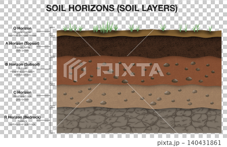 Educational science infographic diagram of soil horizons, showing cross section profile with technical labels of organic matter, topsoil, subsoil, weathered rock, and bedrock layer Educational science infographic diagram of soil horizons, showing cross section profile with technical labels of organic matter, topsoil, subsoil, weathered rock, and bedrock layer 140431861