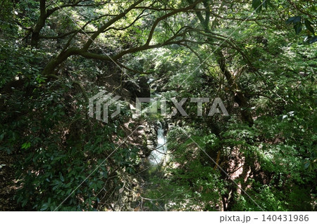 ◇布引の滝 「ハイキング道の風景」/ 日本三大神滝【神戸市中央区】 ◇布引の滝 「ハイキング道の風景」/ 日本三大神滝【神戸市中央区】 140431986