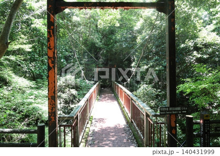 ◇布引の滝 「ハイキング道の風景」/ 日本三大神滝【神戸市中央区】 ◇布引の滝 「ハイキング道の風景」/ 日本三大神滝【神戸市中央区】 140431999