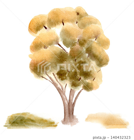 Delicate autumn tree with yellow leaf foliage soft watercolor isolated. Hand drawn illustration of deciduous plant for invitation, card. Earthy green and tan watercolor washes for banner design. Delicate autumn tree with yellow leaf foliage soft watercolor isolated. Hand drawn illustration of deciduous plant for invitation, card. Earthy green and tan watercolor washes for banner design. 140432323