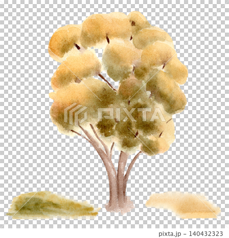 Delicate autumn tree with yellow leaf foliage soft watercolor isolated. Hand drawn illustration of deciduous plant for invitation, card. Earthy green and tan watercolor washes for banner design. Delicate autumn tree with yellow leaf foliage soft watercolor isolated. Hand drawn illustration of deciduous plant for invitation, card. Earthy green and tan watercolor washes for banner design. 140432323