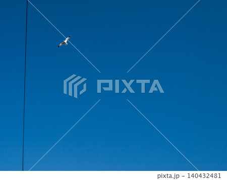 Seagull flying near lonely wire in clear sky as abstract concept of boundary and freedom Seagull flying near lonely wire in clear sky as abstract concept of boundary and freedom 140432481