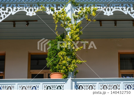 Ornate balcony with potted climbing plant 140432750