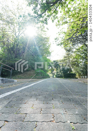 新緑がまぶしい公園の並木道と朝日の輝き 新緑がまぶしい公園の並木道と朝日の輝き 140433304