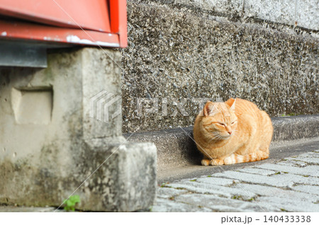 石畳の道端で静かに休む茶トラ猫と崎津の古い街並み 石畳の道端で静かに休む茶トラ猫と崎津の古い街並み 140433338