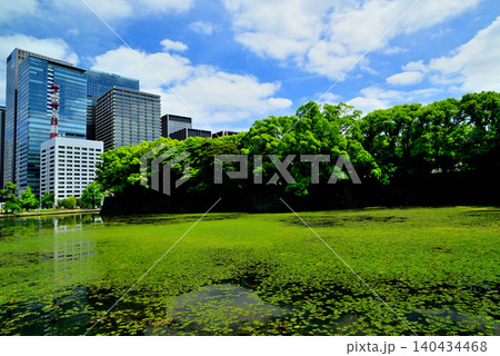 東京 皇居大手濠とその周辺のビル群 東京 皇居大手濠とその周辺のビル群 140434468