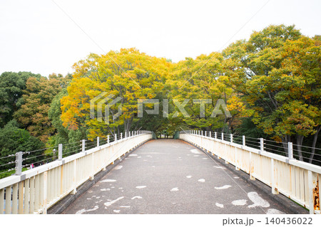 代々木公園付近の橋 代々木公園付近の橋 140436022