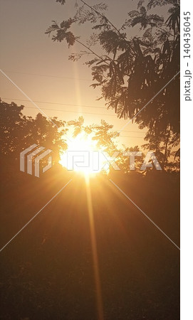 sunset sky with sun and tree silhouette sunset sky with sun and tree silhouette 140436045