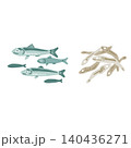 煮干しのイラスト（カラー） 140436271