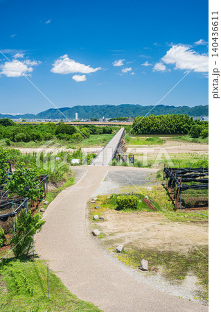 木津川の名所上津屋橋(流れ橋)と河川敷の茶畑 京都府八幡市 木津川の名所上津屋橋(流れ橋)と河川敷の茶畑 京都府八幡市 140436611