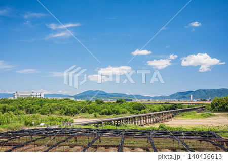 木津川の名所上津屋橋(流れ橋)と河川敷の茶畑 京都府八幡市 木津川の名所上津屋橋(流れ橋)と河川敷の茶畑 京都府八幡市 140436613