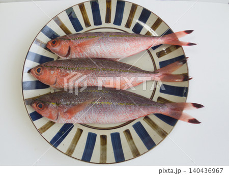 沖縄県産グルクンの生魚｜皿に並べた新鮮な食材／Fresh Gurukun Fish on a Pla 140436967