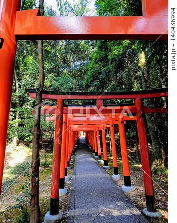赤い鳥居が連なる風景 赤い鳥居が連なる風景 140436994