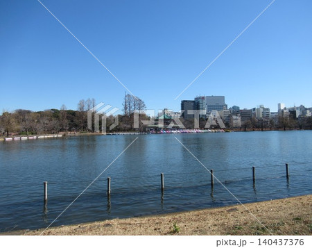 上野公園 ボート池 冬 上野公園 ボート池 冬 140437376