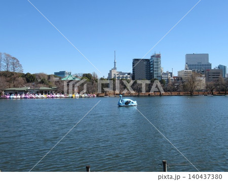 上野公園　ボート池　冬 140437380