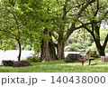 新緑の公園の水辺に佇むベンチの風景 140438000