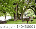 新緑の公園の水辺に佇むベンチ(近景) 140438001