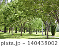 公園の並木道 140438002