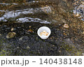 管理釣り場で使うブドウ虫の釣り餌 140438148