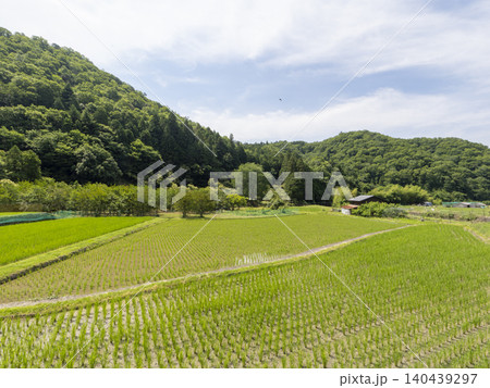 苗が植えられた水田と山の風景 140439297