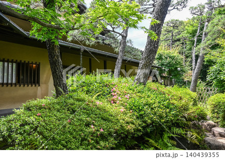 世田谷成城 猪俣庭園 和室と日本庭園 世田谷成城 猪俣庭園 和室と日本庭園 140439355