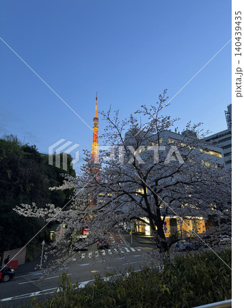 芝公園から見えるタワー 140439435
