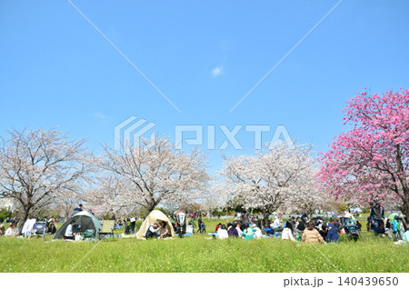 満開の桜と青空(都立舎人公園) 満開の桜と青空(都立舎人公園) 140439650