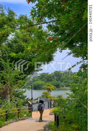 洗足池公園の遊歩道を日傘をさして歩く女性 東京都大田区 洗足池公園の遊歩道を日傘をさして歩く女性 東京都大田区 140440781