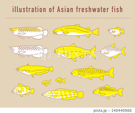 アジアの淡水魚のイラストセット アジアの淡水魚のイラストセット 140440988