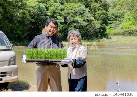 田植え用の苗を手に笑顔を見せるシニア夫婦 田植え用の苗を手に笑顔を見せるシニア夫婦 140441030