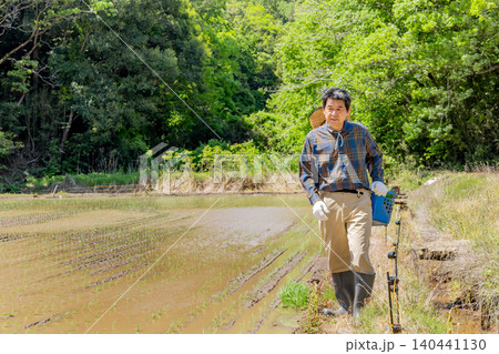 田植え後の水田を見守る日本人シニア農家 田植え後の水田を見守る日本人シニア農家 140441130