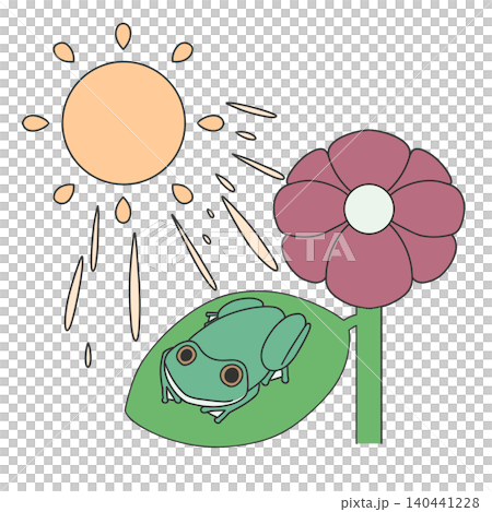 A cute frog is basking in the sun, looking very comfortable on the leaves of a large plant. A cute frog is basking in the sun, looking very comfortable on the leaves of a large plant. 140441228