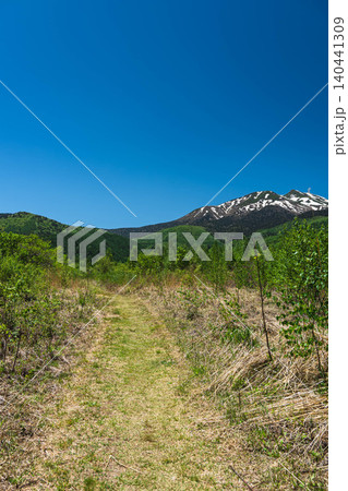新緑の乗鞍高原 爽やかな夏の散策路と乗鞍岳 新緑の乗鞍高原 爽やかな夏の散策路と乗鞍岳 140441309