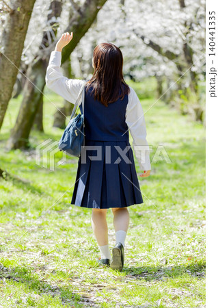 桜並木を歩く女子高校生の後ろ姿と春の通学風景 桜並木を歩く女子高校生の後ろ姿と春の通学風景 140441335