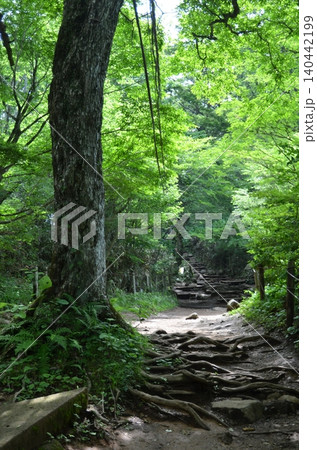 筑波山 筑波山 140442199