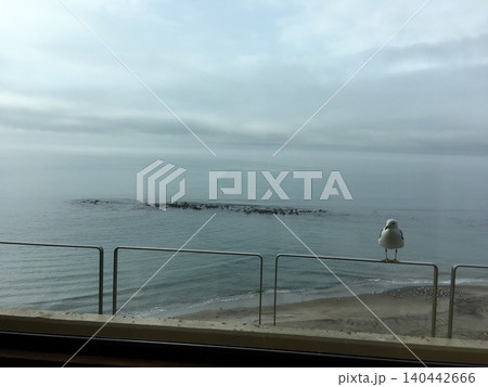 雲と海・岩礁と小さな海鳥 140442666