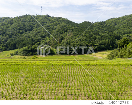 猪名川町柏原地区に広がる棚田の風景 猪名川町柏原地区に広がる棚田の風景 140442788