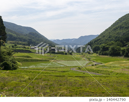 猪名川町柏原地区に広がる棚田の風景 猪名川町柏原地区に広がる棚田の風景 140442790