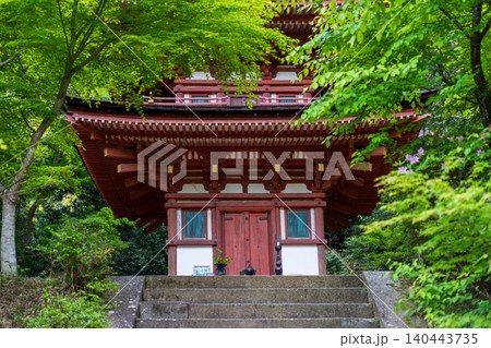 京都の青紅葉　浄瑠璃寺 140443735
