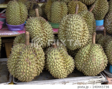 Whole fresh green durian fruits displayed on metal tray 140443736