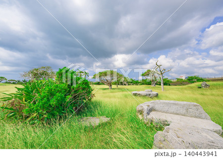 青空と海に包まれた南ぬ浜町緑地公園の広々とした芝生風景 石垣島 青空と海に包まれた南ぬ浜町緑地公園の広々とした芝生風景 石垣島 140443941