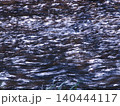 キラキラと光る川の流れ 140444117