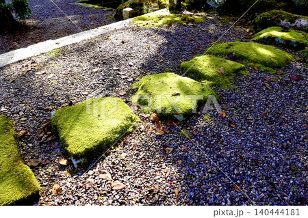円通寺の境内の苔むした飛び石 丹波紅葉三山のひとつ 兵庫県丹波市 円通寺の境内の苔むした飛び石 丹波紅葉三山のひとつ 兵庫県丹波市 140444181