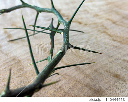 Side View of Monochrome Crown of Thorns on Fabric Representing Somber Reflection Side View of Monochrome Crown of Thorns on Fabric Representing Somber Reflection 140444658