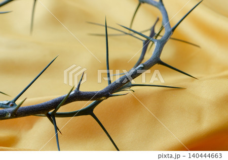 Soft Focus Crown of Thorns on Yellow Silk Fabric Concept. Soft Focus Crown of Thorns on Yellow Silk Fabric Concept. 140444663