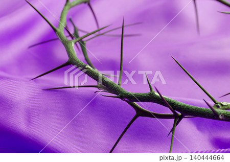 Artistic Crown of Thorns on Vibrant Purple Fabric Backdrop. 140444664