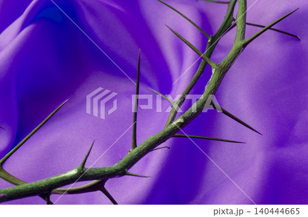 Golden Light Crown of Thorns on Purple Silk Fabric for Easter Concept. 140444665