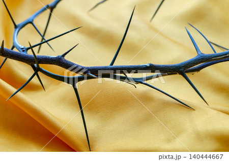 Dramatic Crown of Thorns on Dark Textured Background Representing Suffering Dramatic Crown of Thorns on Dark Textured Background Representing Suffering 140444667